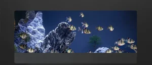 آکواریوم هوشمند شیائومی مدل Mijia MYG100 _ به همراه فیلتر 11 آکواریوم هوشمند شیائومی مدل Mijia MYG100 _ به همراه فیلتر